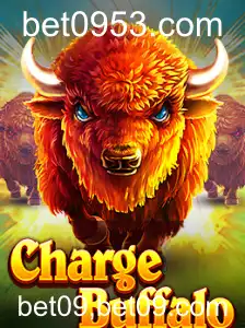 Desvendando o Mundo de ChargeBuffalo: Guia Completo e Atualizado
